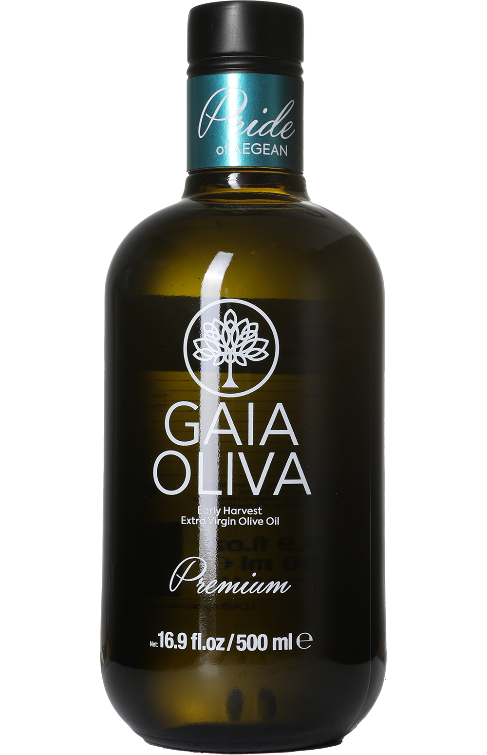 Gaia Oliva  Ltd